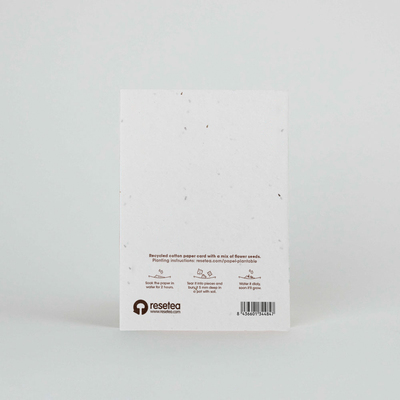 Resetea čestitka za uzgoj sobne biljke congrats 1