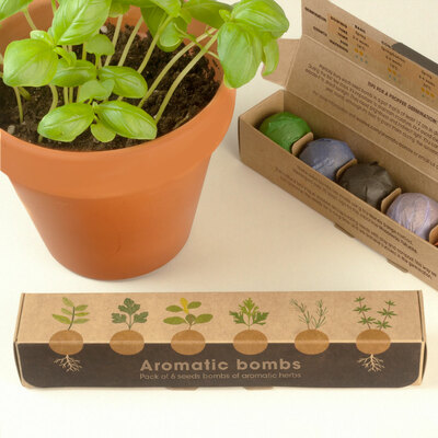 Resetea set za uzgoj sobne biljke aromatic bombs 6 kom 3