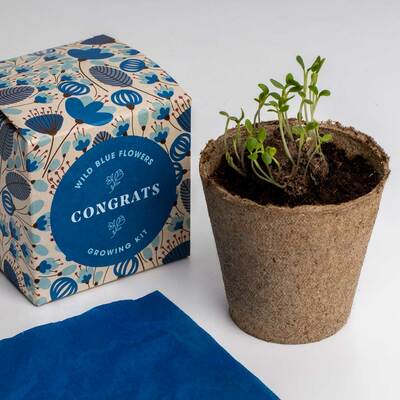 Resetea set za uzgoj sobne biljke congrats growing kit 3