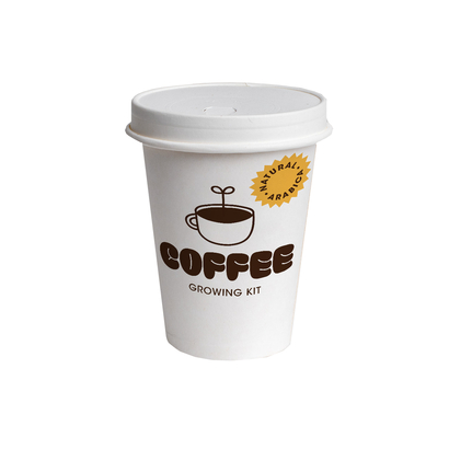Resetea set za uzgoj sobne biljke coffee growing kit