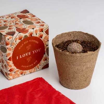 Resetea set za uzgoj sobne biljke i love you growing kit 2