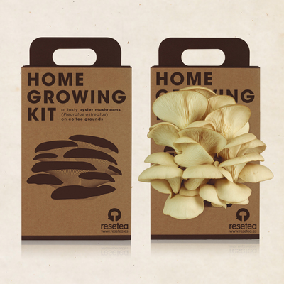 Resetea set za uzgoj sobne biljke oyster mushroom 1