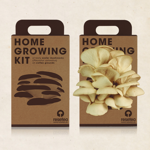 Resetea set za uzgoj sobne biljke oyster mushroom 1