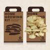Resetea set za uzgoj sobne biljke oyster mushroom 1