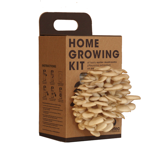 Resetea set za uzgoj sobne biljke oyster mushroom