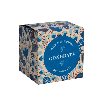 Resetea set za uzgoj sobne biljke congrats growing kit