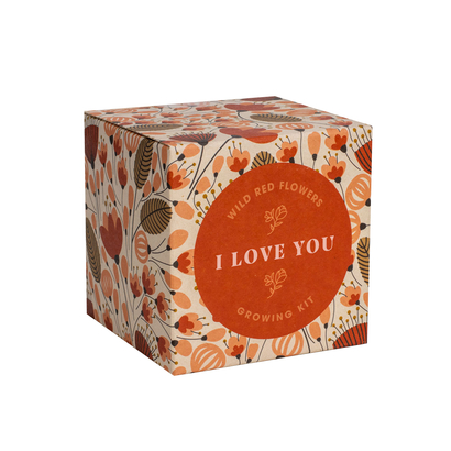 Resetea set za uzgoj sobne biljke i love you growing kit