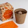Resetea set za uzgoj sobne biljke thank you growing kit 2
