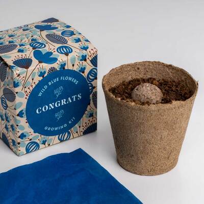 Resetea set za uzgoj sobne biljke congrats growing kit 2