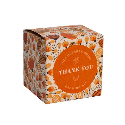 Resetea set za uzgoj sobne biljke thank you growing kit