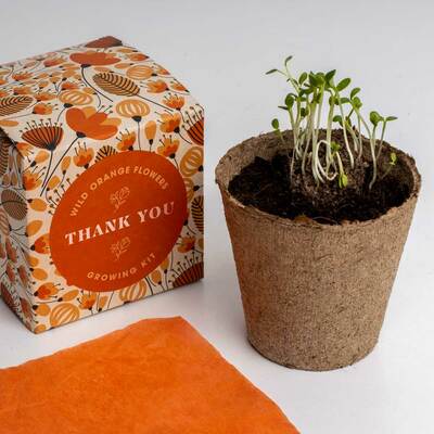 Resetea set za uzgoj sobne biljke thank you growing kit 3