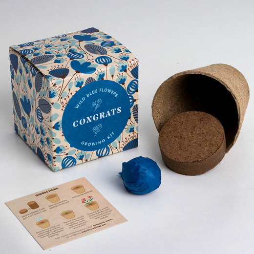 Resetea set za uzgoj sobne biljke congrats growing kit 1