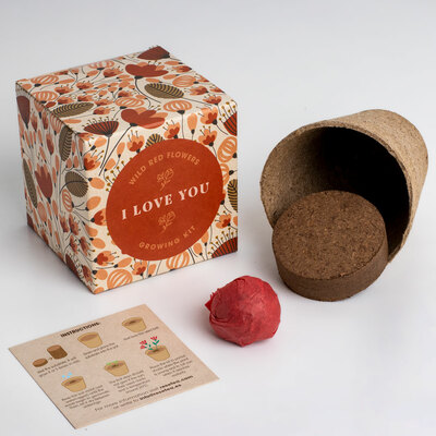 Resetea set za uzgoj sobne biljke i love you growing kit 1
