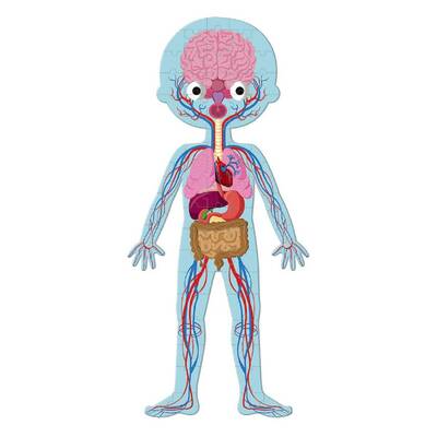 Janod edukativne puzzle ljudsko tijelo 3