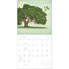 Trees of life kalendar 2026 2