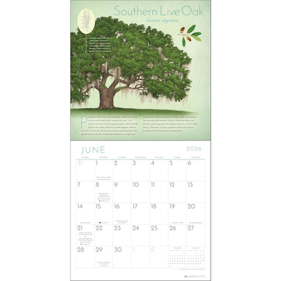 Trees of life kalendar 2026 2