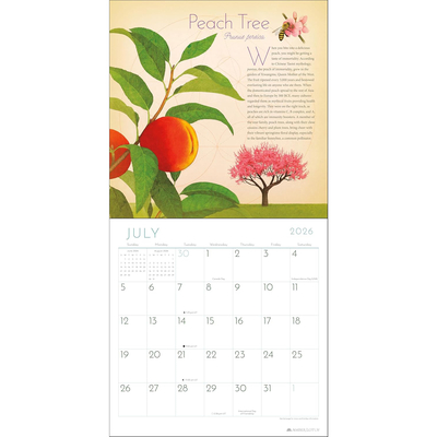 Trees of life kalendar 2026 3