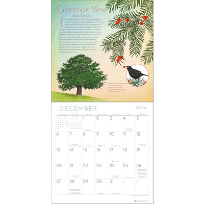 Trees of life kalendar 2026 4