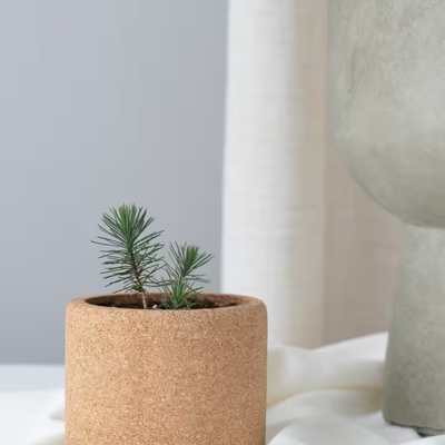 Tegla od pluta božićno drvce 2