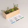 Resetea set za uzgoj sobne biljke mini garden mediterranean 2