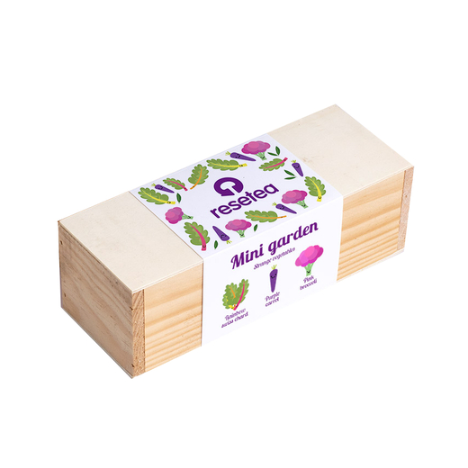 Resetea set za uzgoj sobne biljke mini garden strange vegetables