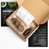 Resetea set za uzgoj sobne biljke microgreens 1