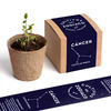 Resetea set za uzgoj sobne biljke zodiac cancer peršin 1