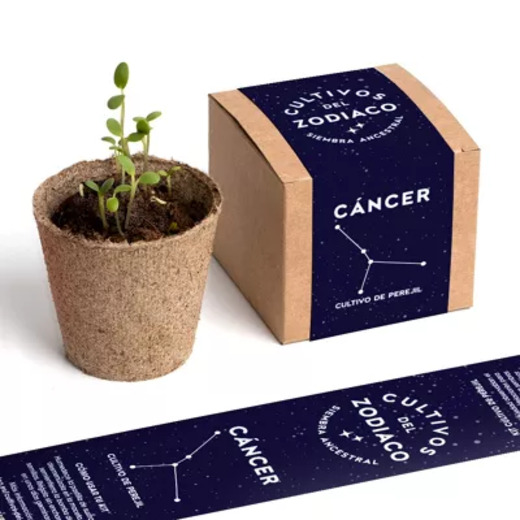 Resetea set za uzgoj sobne biljke zodiac cancer peršin 1