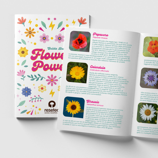 Resetea set za uzgoj sobne biljke flower power 2