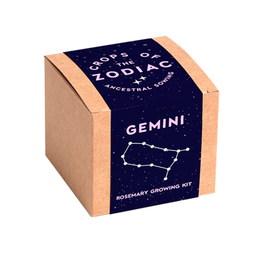 Resetea set za uzgoj sobne biljke zodiac gemini ružmarin