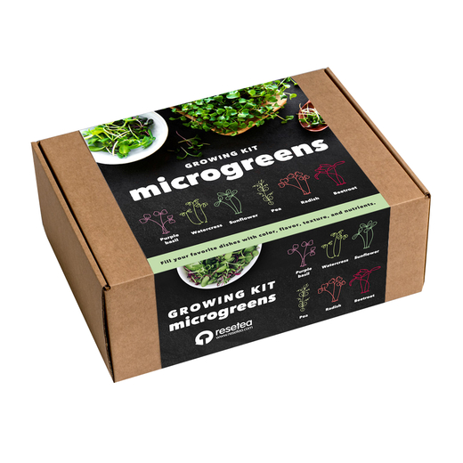 Resetea set za uzgoj sobne biljke microgreens