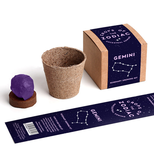 Resetea set za uzgoj sobne biljke zodiac gemini ružmarin 1