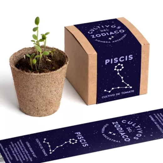 Resetea set za uzgoj sobne biljke zodiac pisces rajčica 1