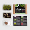 Resetea set za uzgoj sobne biljke microgreens 2