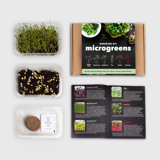 Resetea set za uzgoj sobne biljke microgreens 2