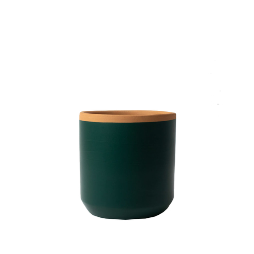 Resetea posuda za sadnicu fern green