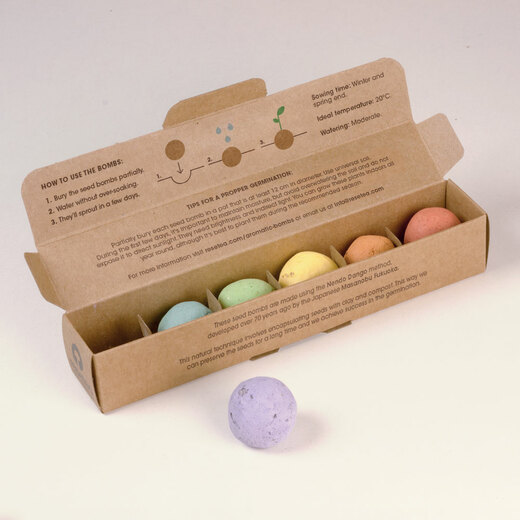 Resetea set za uzgoj sobne biljke flower bombs 2