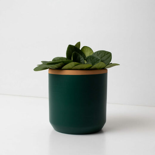 Resetea posuda za sadnicu fern green 1
