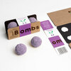 Resetea set za uzgoj sobne biljke wild purple flowers 1