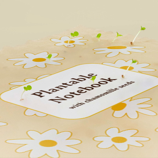 Resetea bilježnica plantable chamomille 2