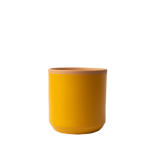 Resetea posuda za sadnicu saffron yellow