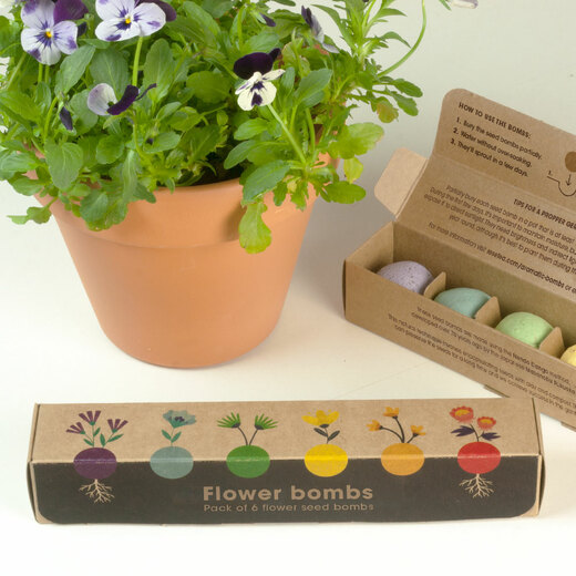 Resetea set za uzgoj sobne biljke flower bombs 3