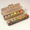 Resetea set za uzgoj sobne biljke flower bombs 1