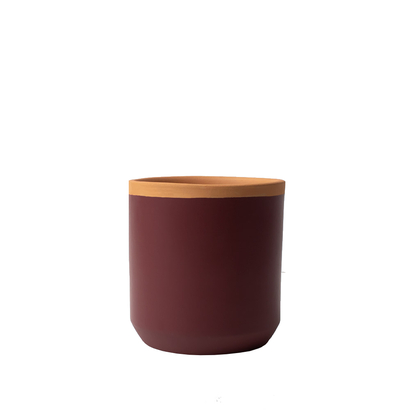 Resetea posuda za sadnicu plum red