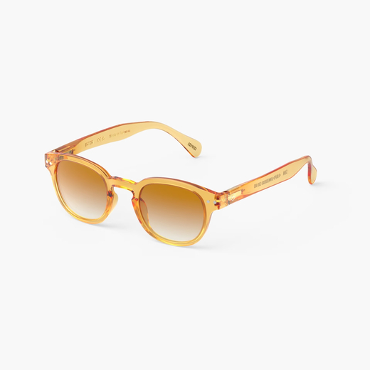Izipizi sunčane naočale #c crossroads golden canyon polarized 1
