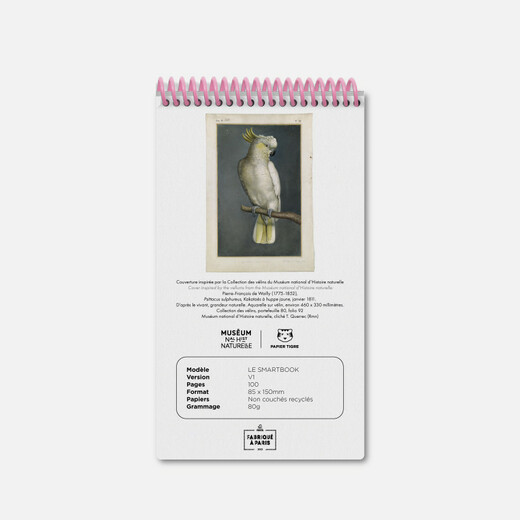 Papier tigre blok perroquet 8,5x15cm 3