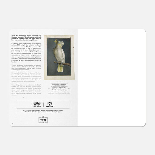 Papier tigre bilježnica a5 musee perroquet 1