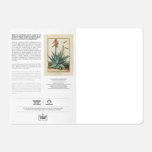 Papier tigre bilježnica a5 musee aloe 1