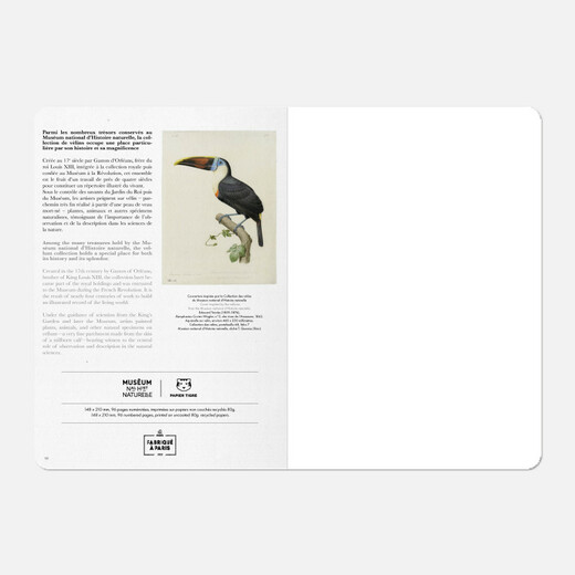 Papier tigre bilježnica a5 musee toucan 1