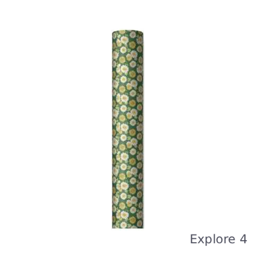 Clairefontaine omotni papir kraft explore 2x0,70m 3